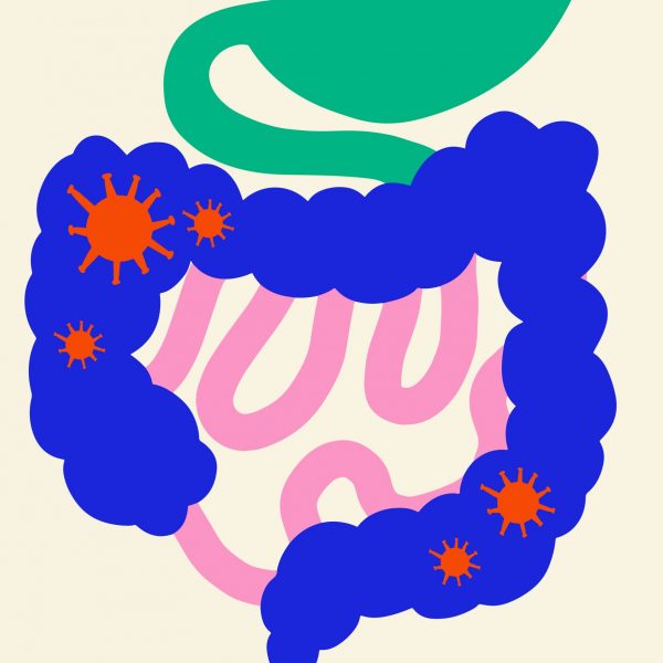 Mikrobiom und Darmtherapie